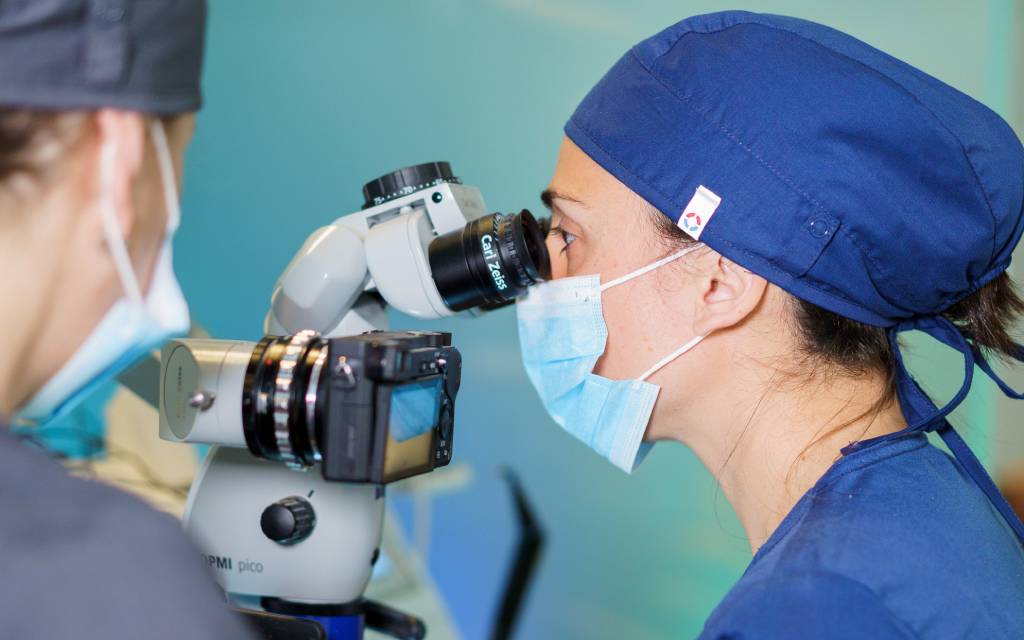 Dr. anaïs - Quitar caries