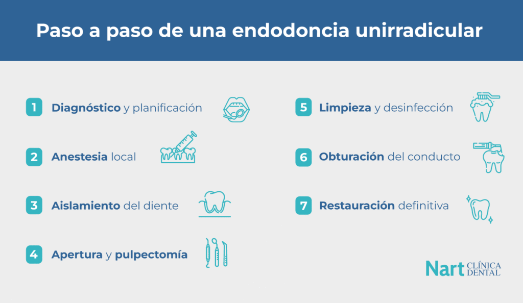 Paso a paso de una endodoncia unirradicular 